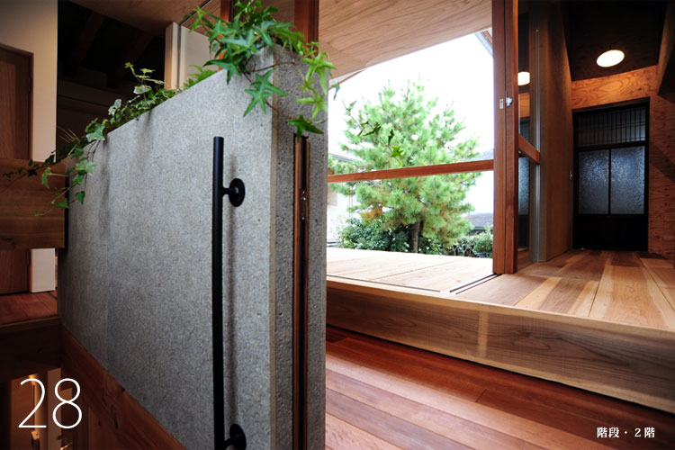 大阪　設計事務所　建築家　木毛セメント板　屋内植物
